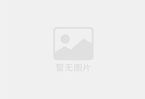 进口浅黄色PU板
